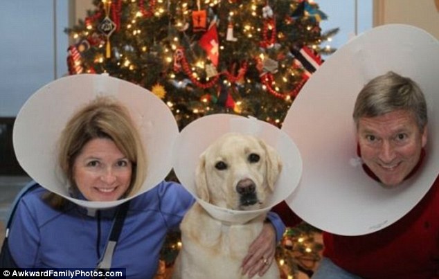 doglovers