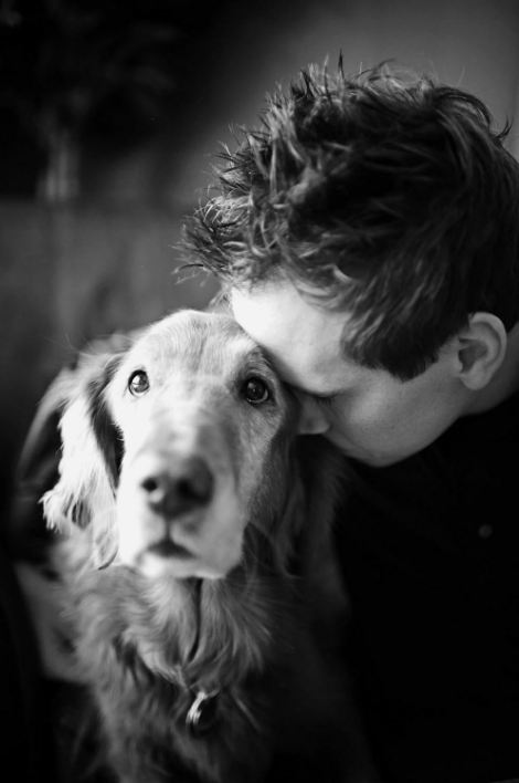 HEARTBREAKING LAST PHOTOS  OF PETS WITH THEIR OWNERS